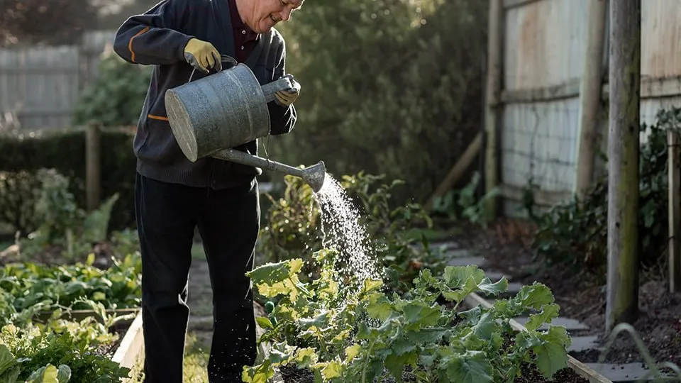 Фото: istockphoto.com