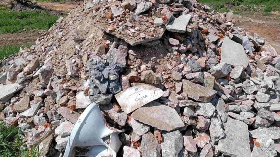 Фото: Министерство экологии и природопользования Московской области