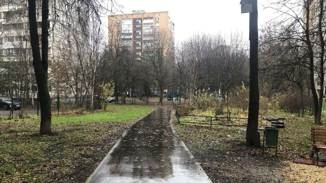 В Подмосковье обустроят еще почти 600 «народных троп»