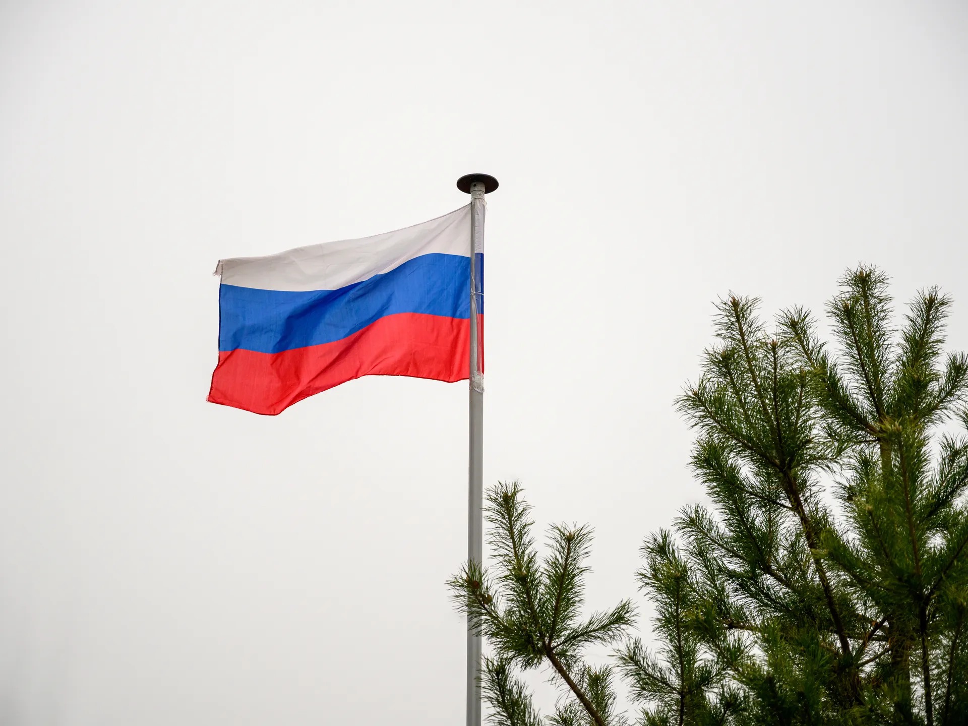 «Русские своих не бросают»: в Госдуме объяснили запрет на выдачу иностранных военных