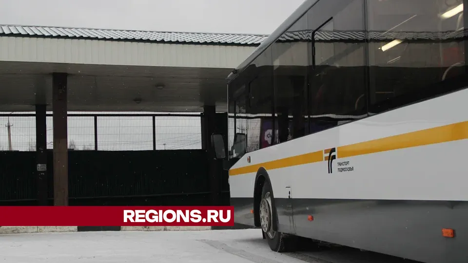 Фото: REGIONS/Василий Тремасов