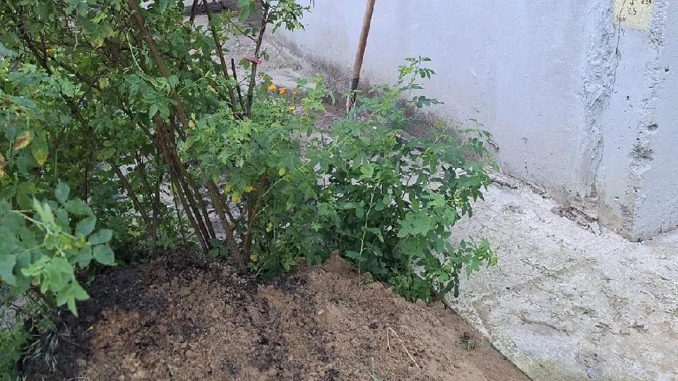 Фото: ООО «Пересвет-Фосфорит»