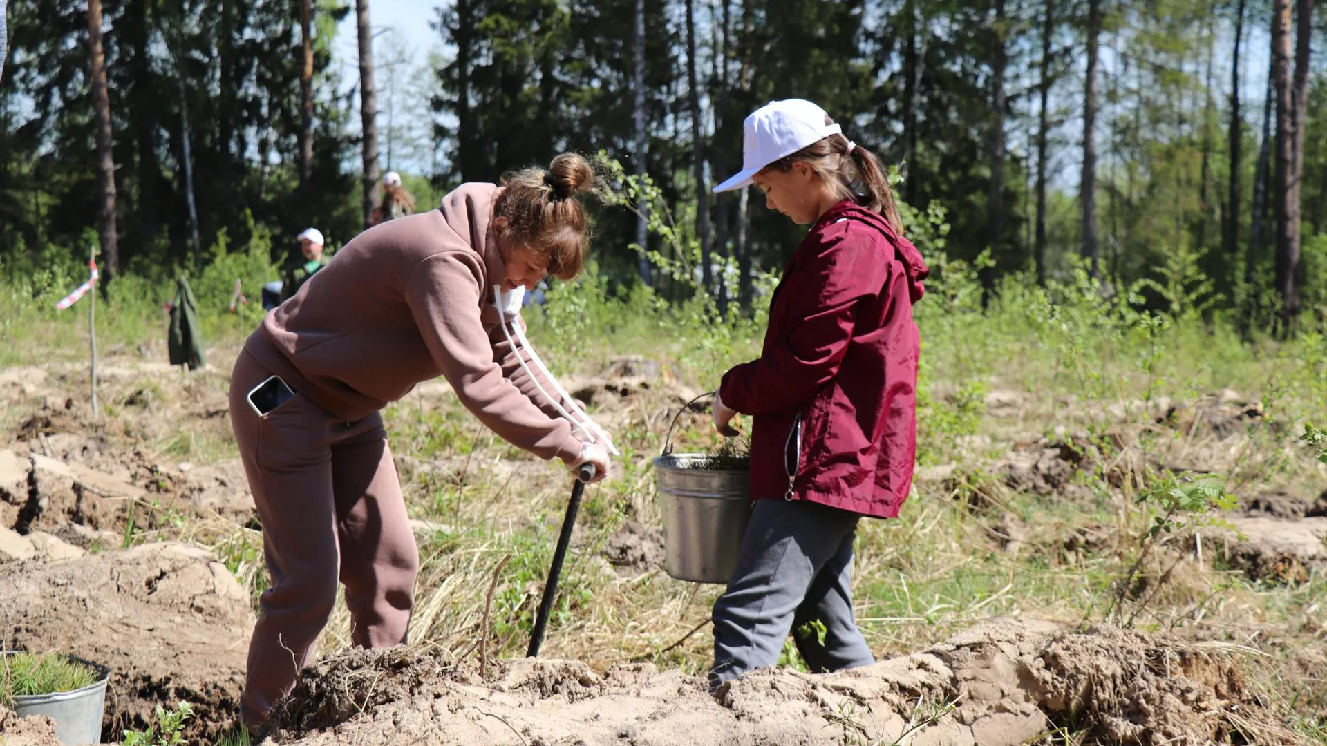 Фото: Василий Тремасов