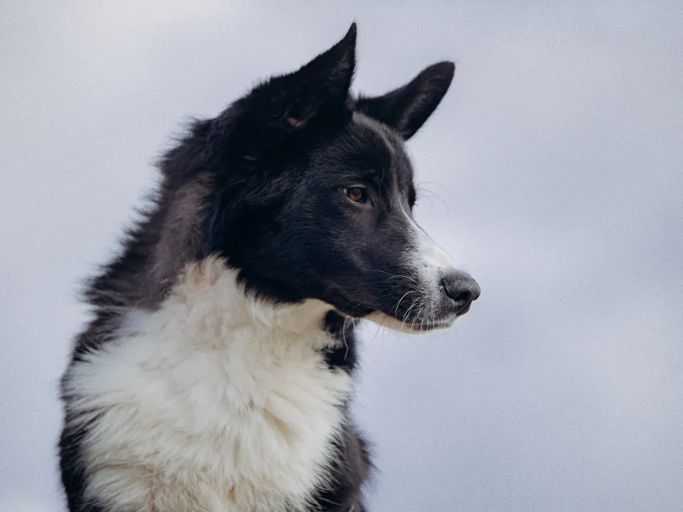Фото: личный архив Елены Стрекаловой
