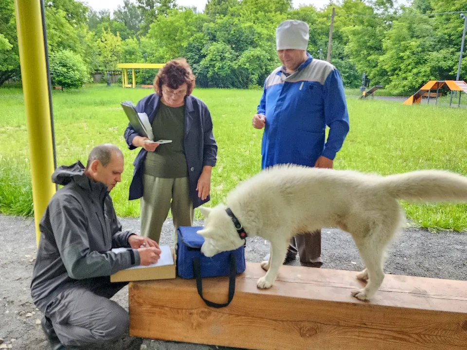 Фото: МедиаБанк Подмосковья/Мария Андрюхина