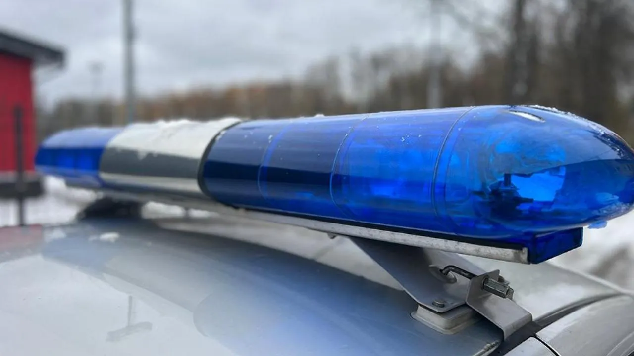 МедиаБанк Подмосковья/Евгения Герасимова