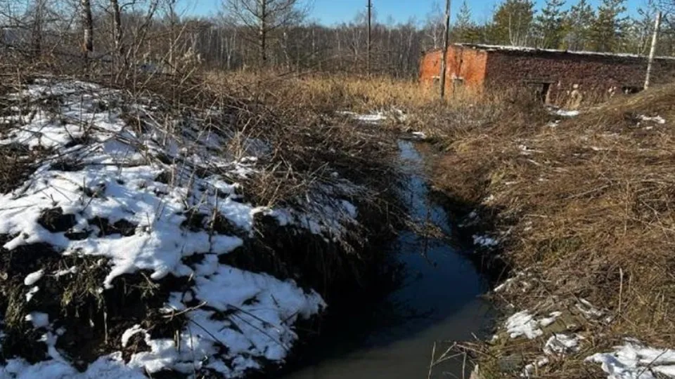 Фото: Министерство экологии и природопользования Московской области