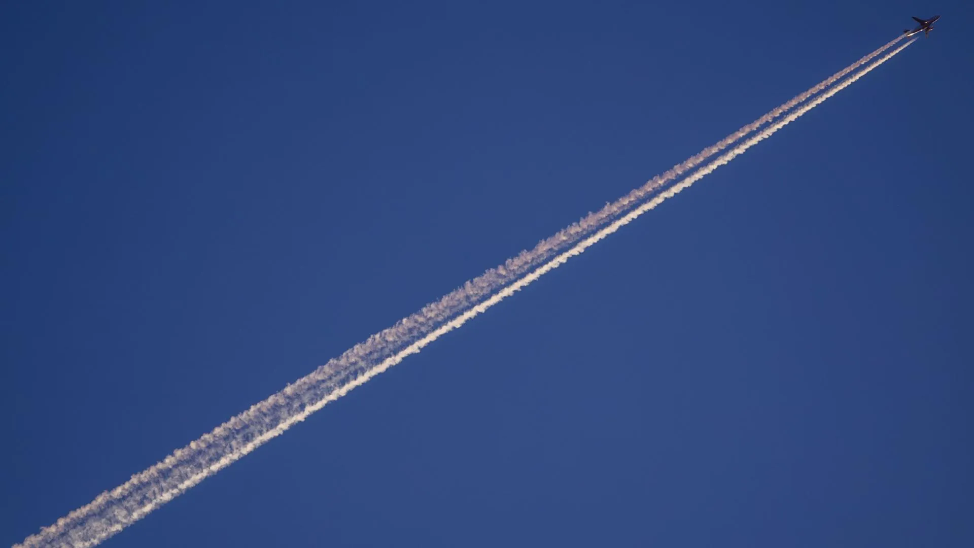 Jens BÃ�ttner/dpa/Global Look Press