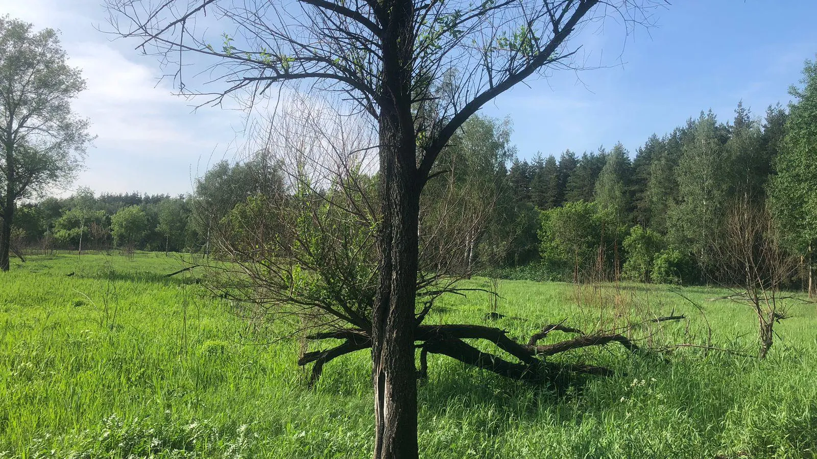 Фото: пресс-служба администрации г.о. Котельники