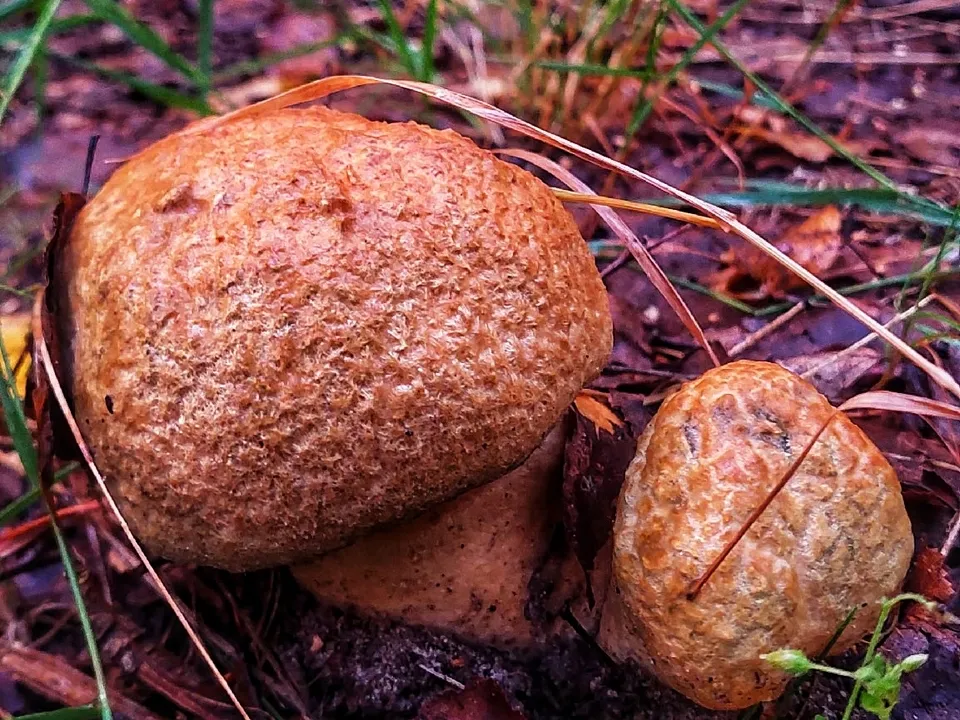 Фото: Василий Потапов