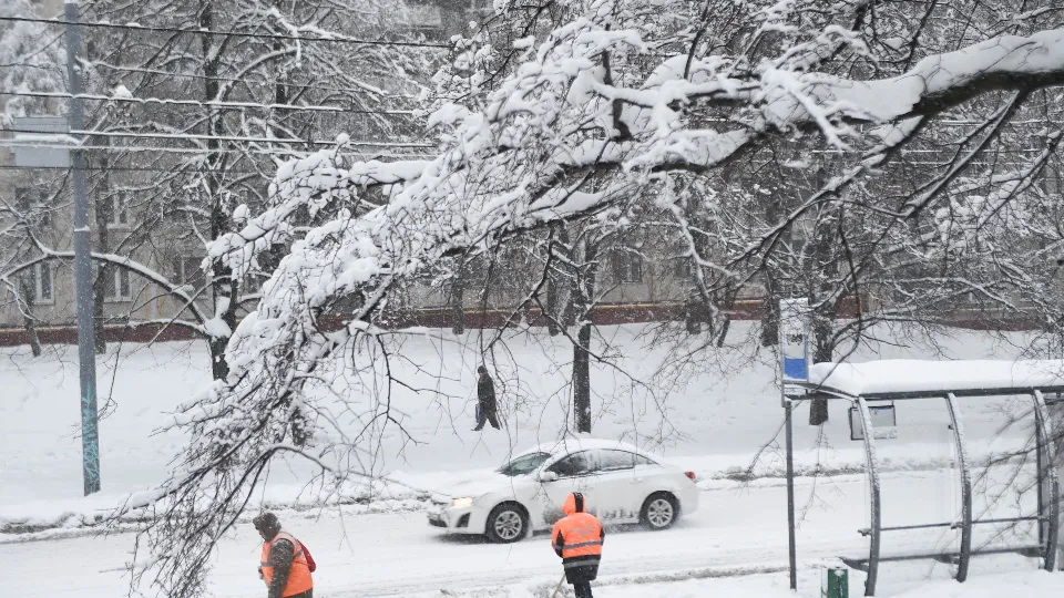 Фото: медиасток.рф