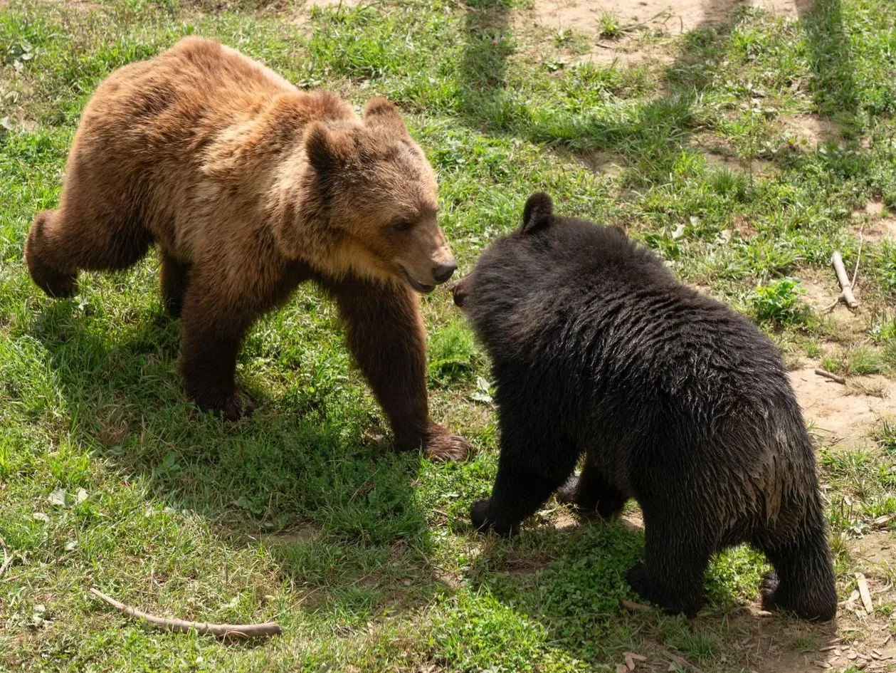 Фото: медиасток.рф
