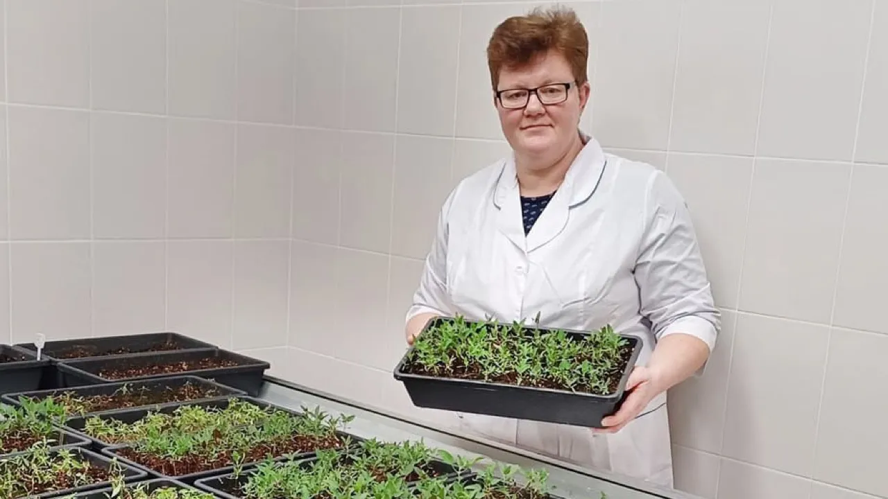 пресс-служба АО Фирма «Август»