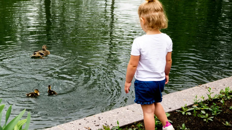 Фото: unsplash.com