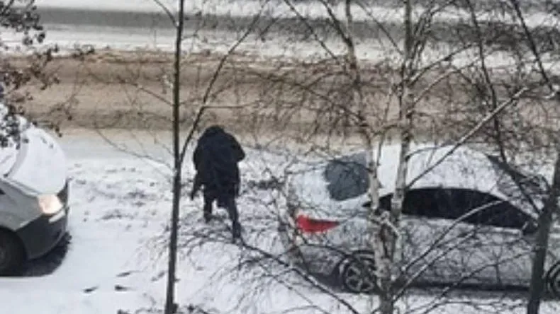 Бабушка-Бэтмен ежедневно борется со снегопадами в Голицино