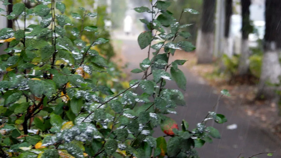 Фото: медиасток.рф