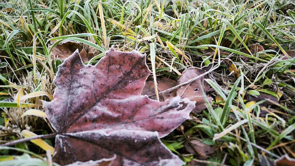 Фото: REGIONS/Роман Малышенко