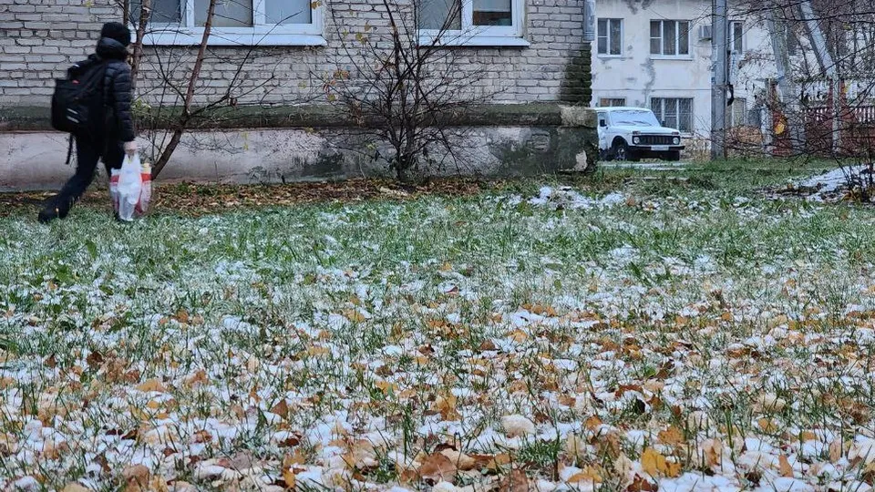 Фото: Михаил Мартыненко