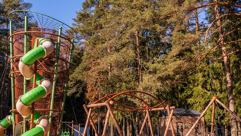 Фото: медиасток.рф