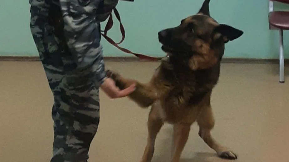 Фото: соцсети