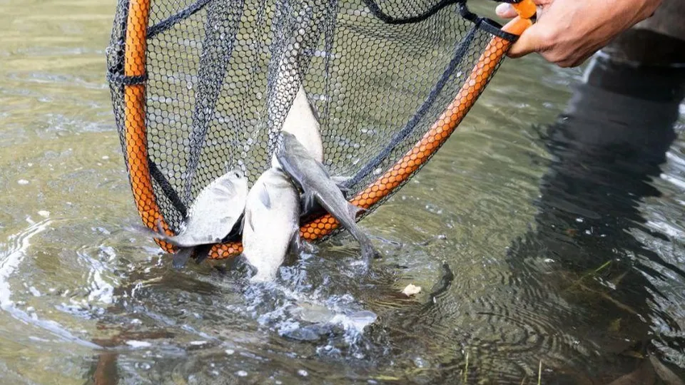 Фото: пресс-служба администрации г.о. Люберцы