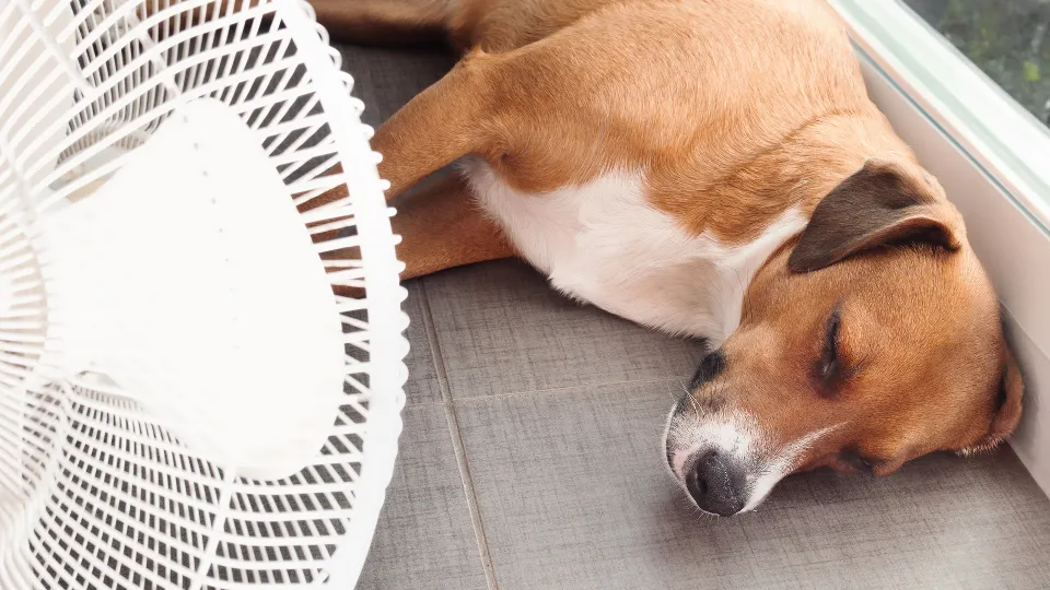 Фото: istockphoto.com