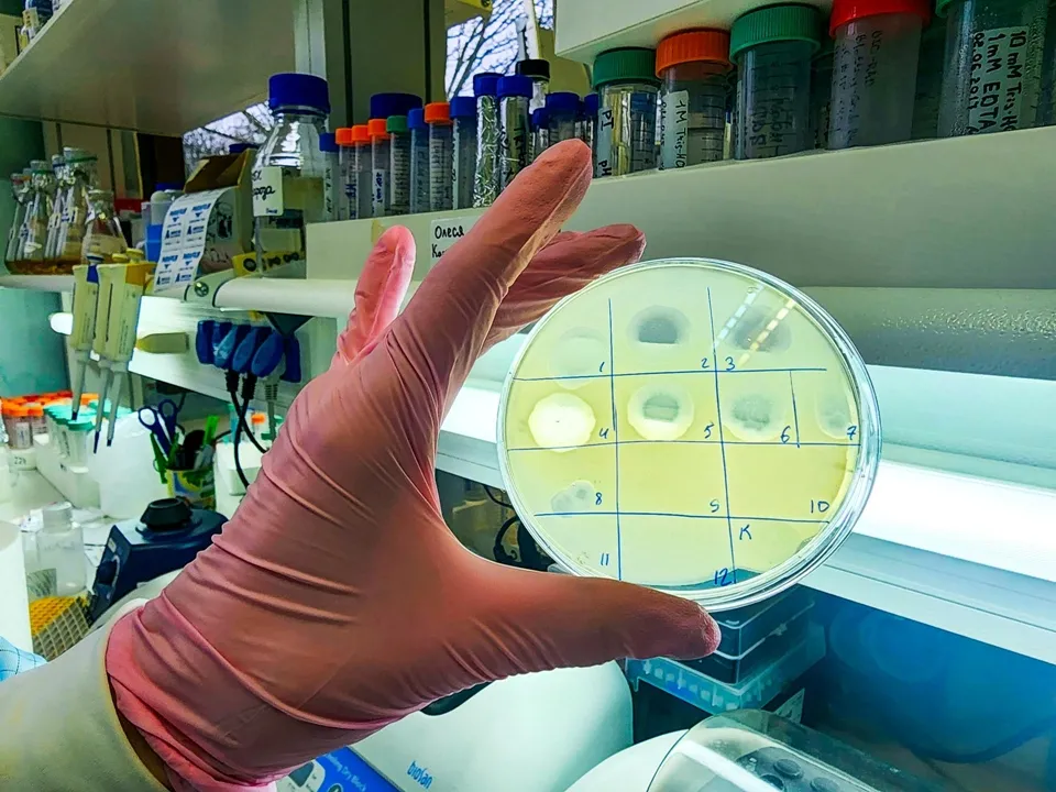 Фото: REGIONS/Мария Панина