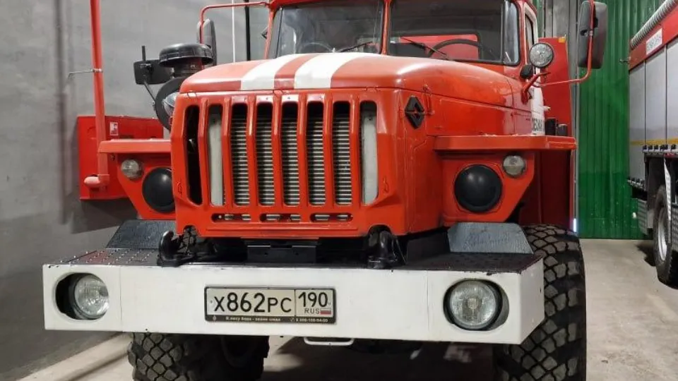 Фото: Комитет лесного хозяйства Московской области