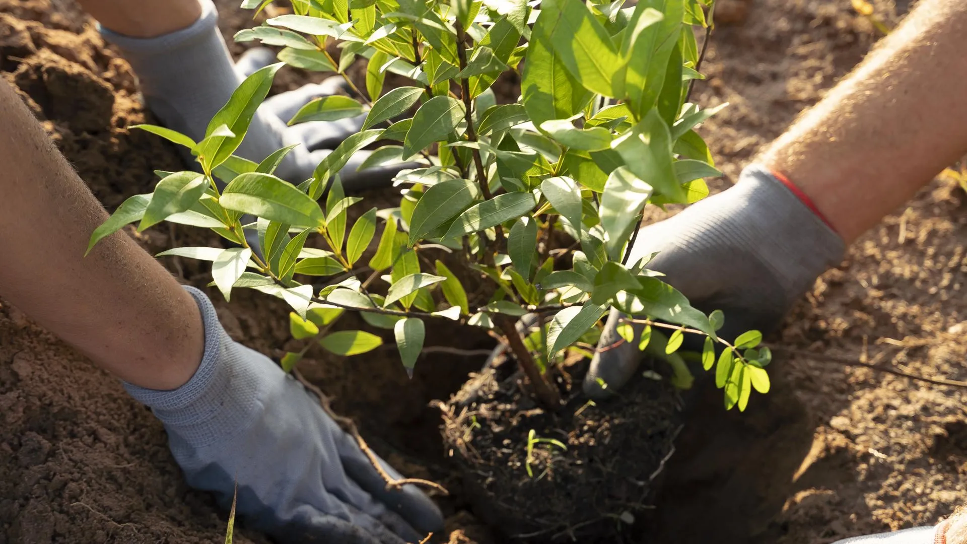 медиасток.рф