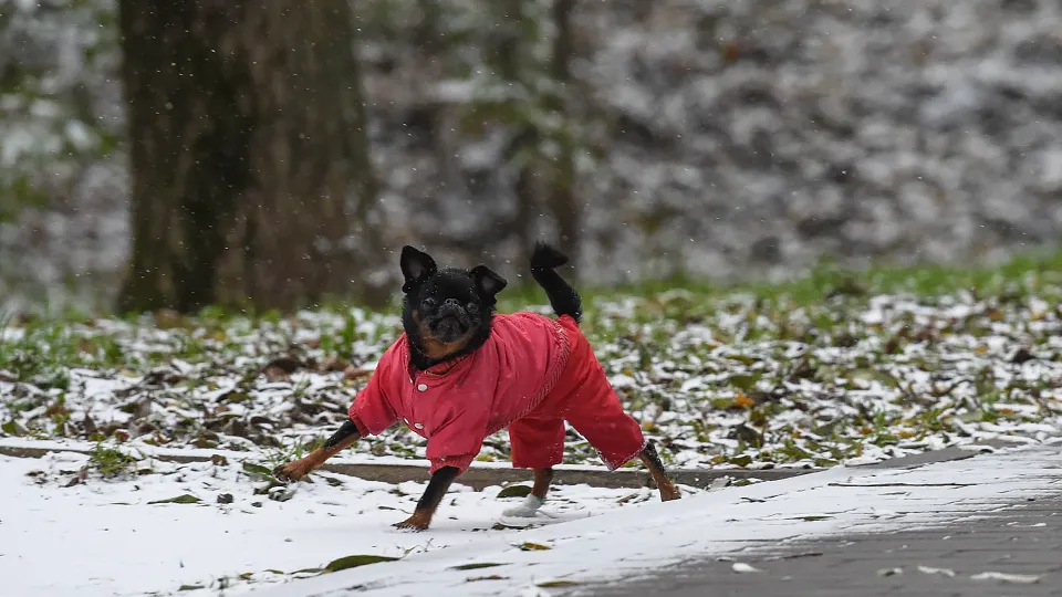 Фото: медиасток.рф