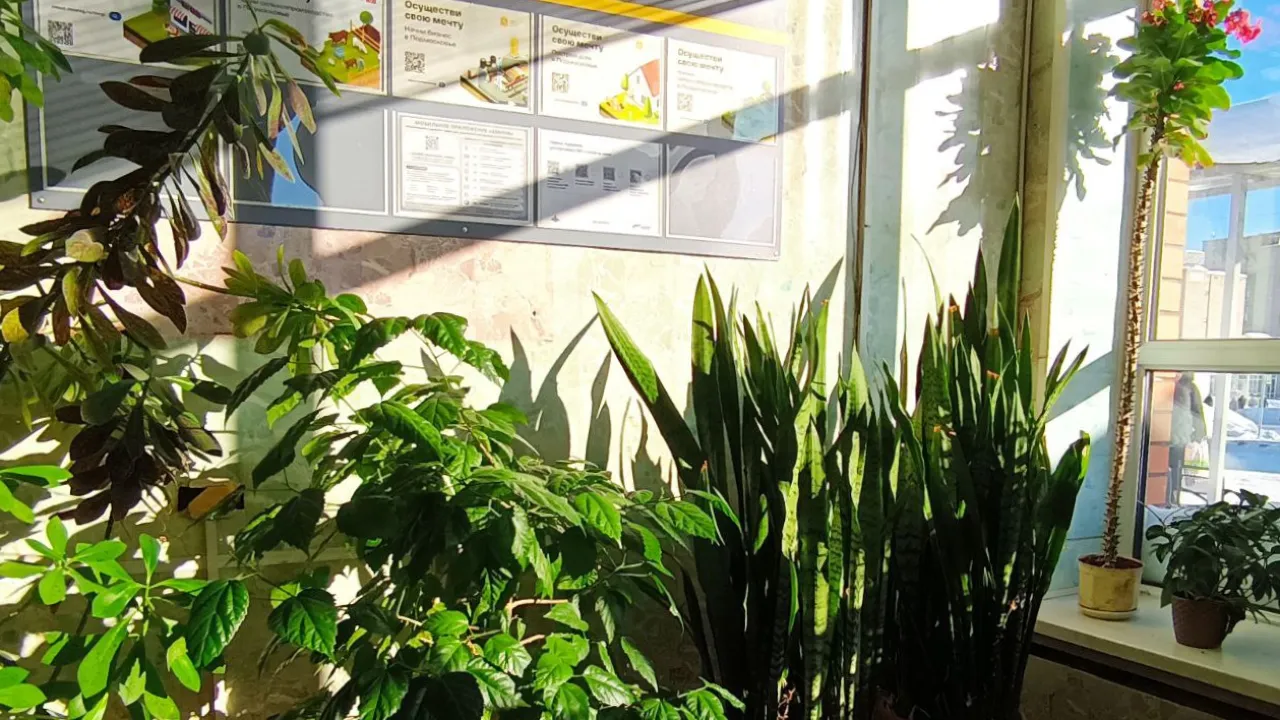 REGIONS/Наталья Пичугина