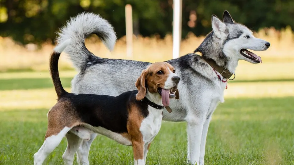 Фото: istockphoto.com