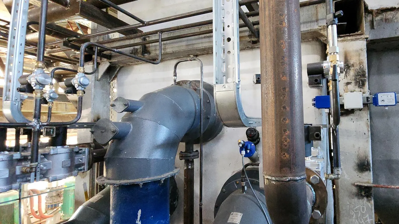 Фото: REGIONS/Нина Басистая