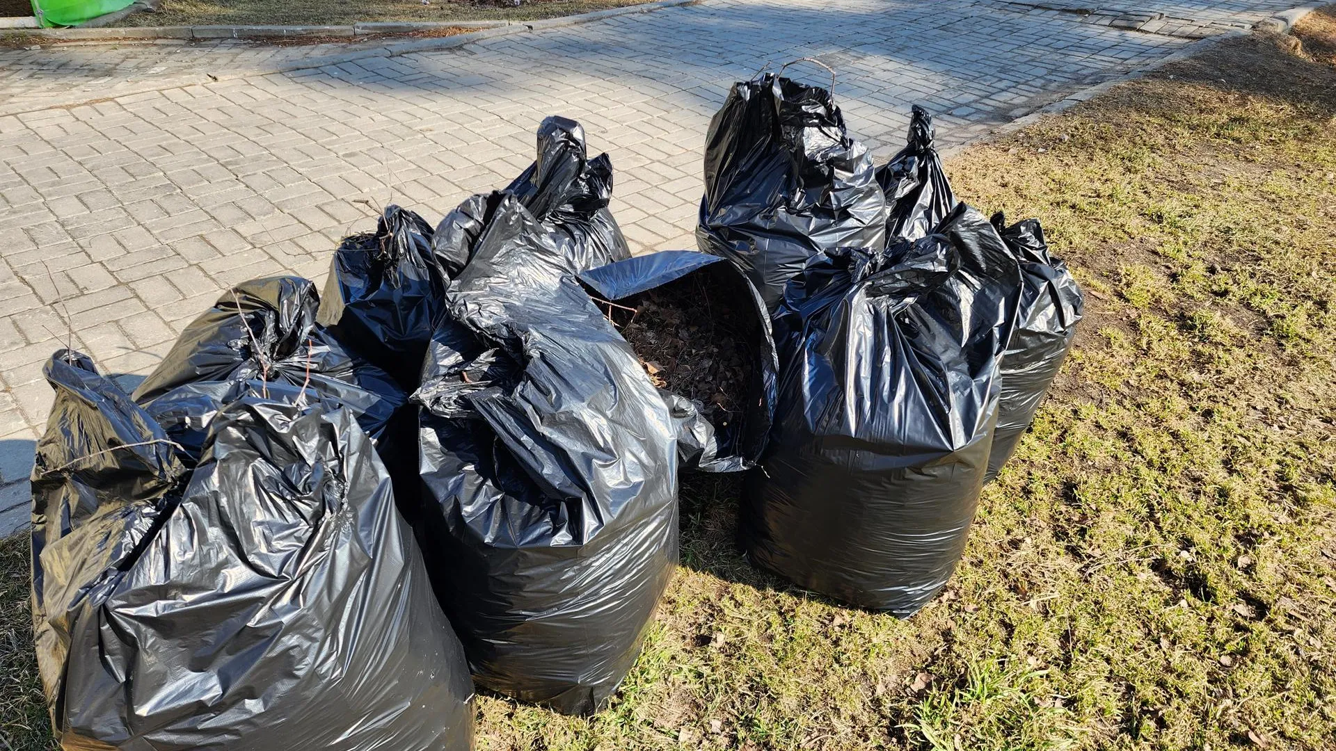 МедиаБанк Подмосковья/Вера Коренева