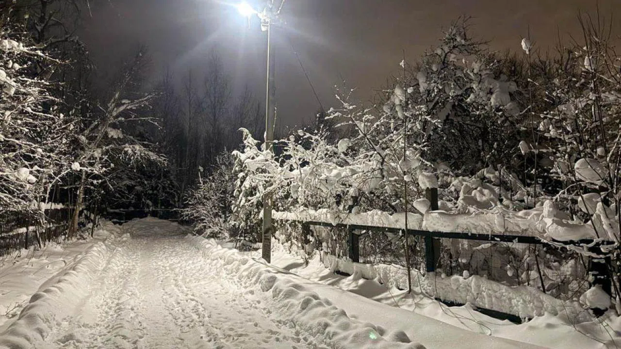 Анастасия Малышенко