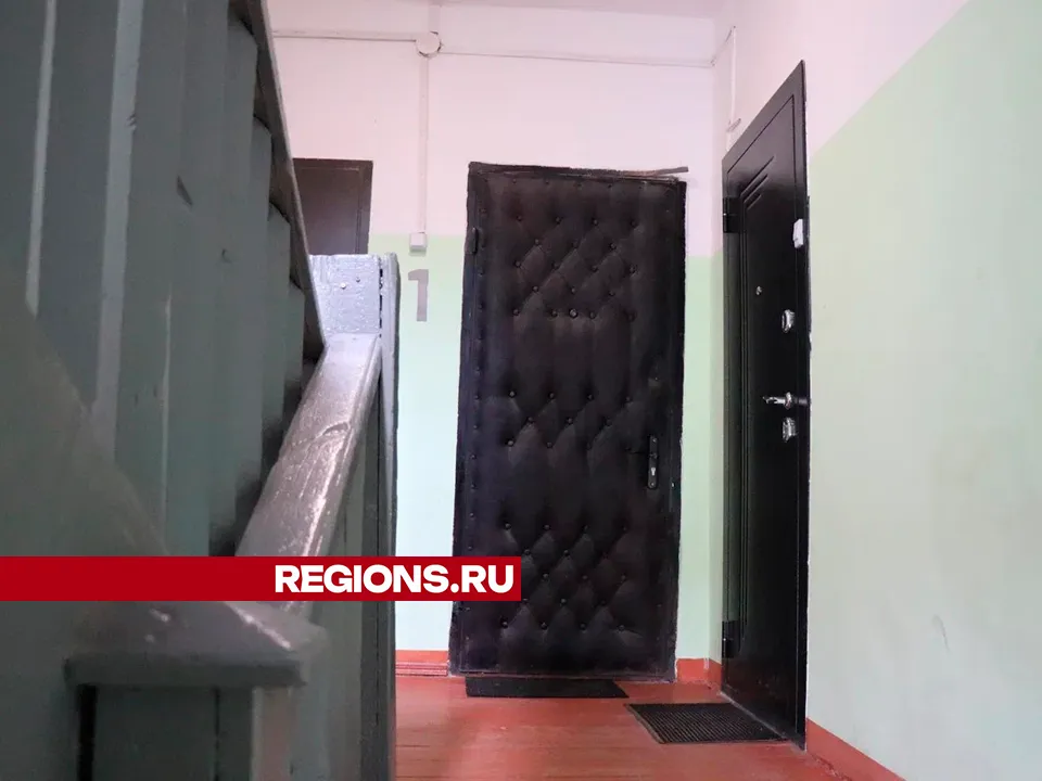 Фото: Василий Тремасов