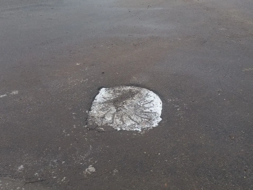 Фото: администрация г. о. Электросталь