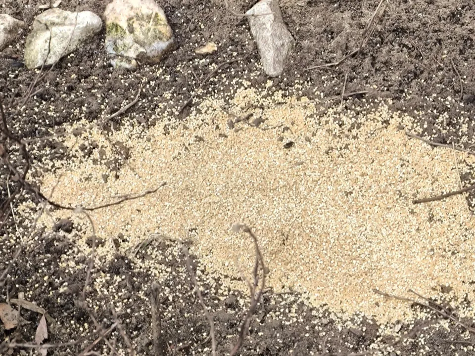 Фото: ООО «УК Фобос Комфорт»