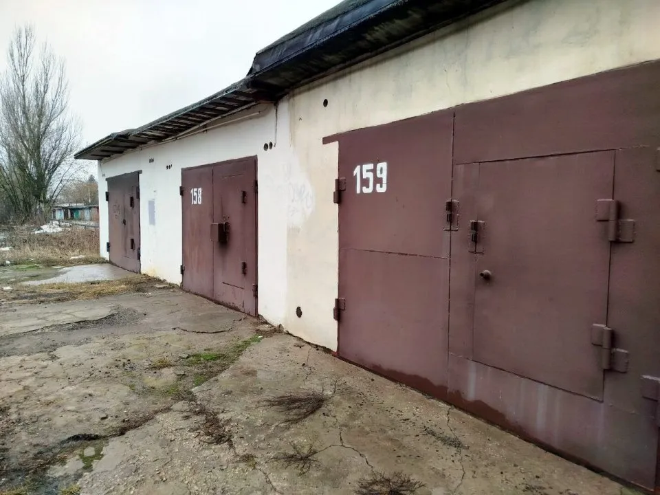 Фото: REGIONS/Наталья Дорофеева