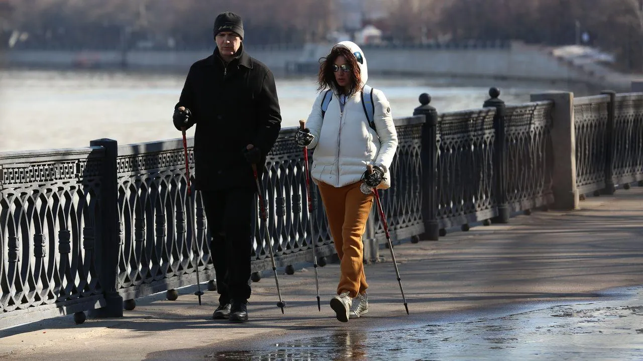 медиасток.рф