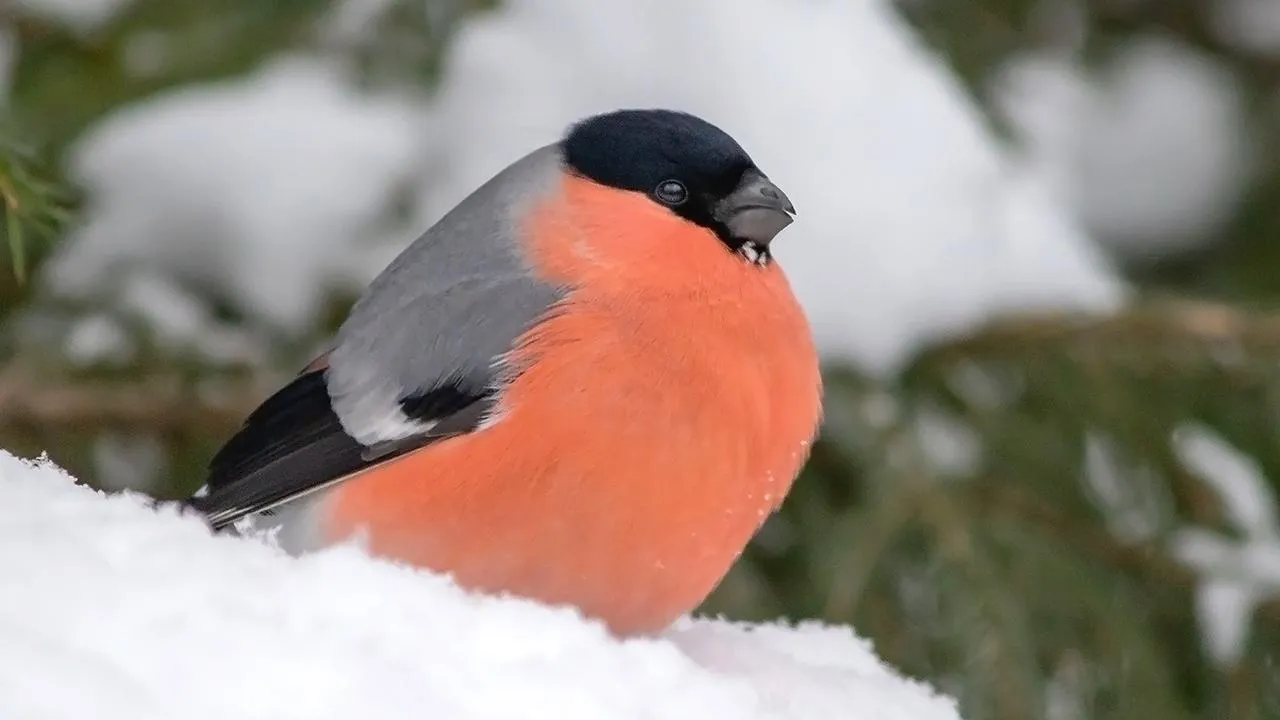 istockphoto.com/Ludmila Kapustkina