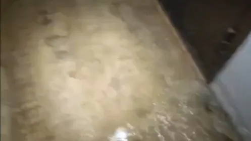 кадр из видео очевидца