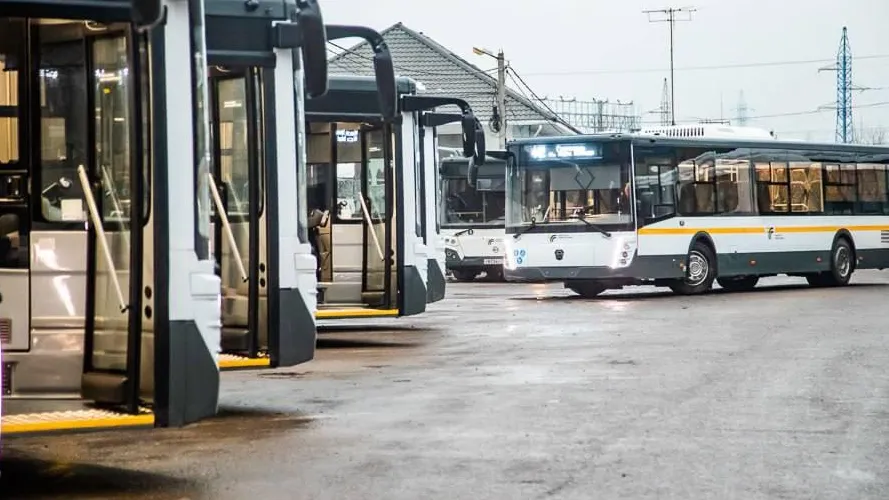 Фото: МТДИ Московской области