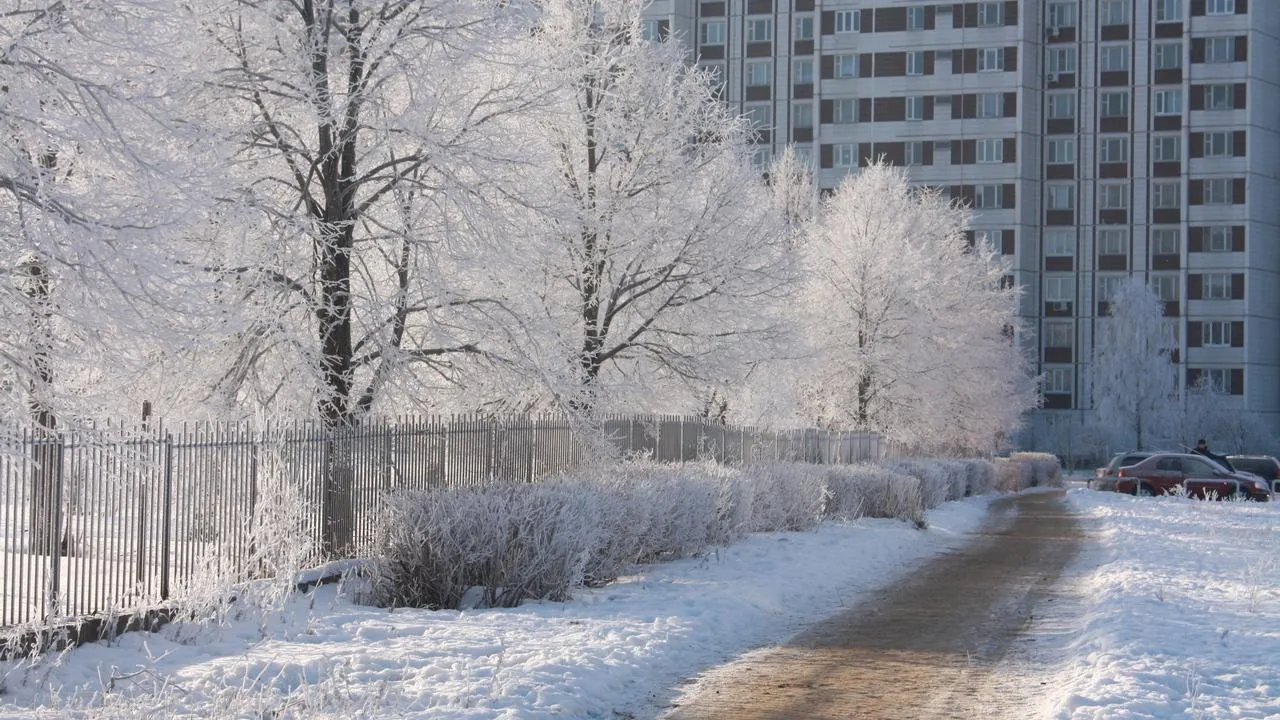 медиасток.рф