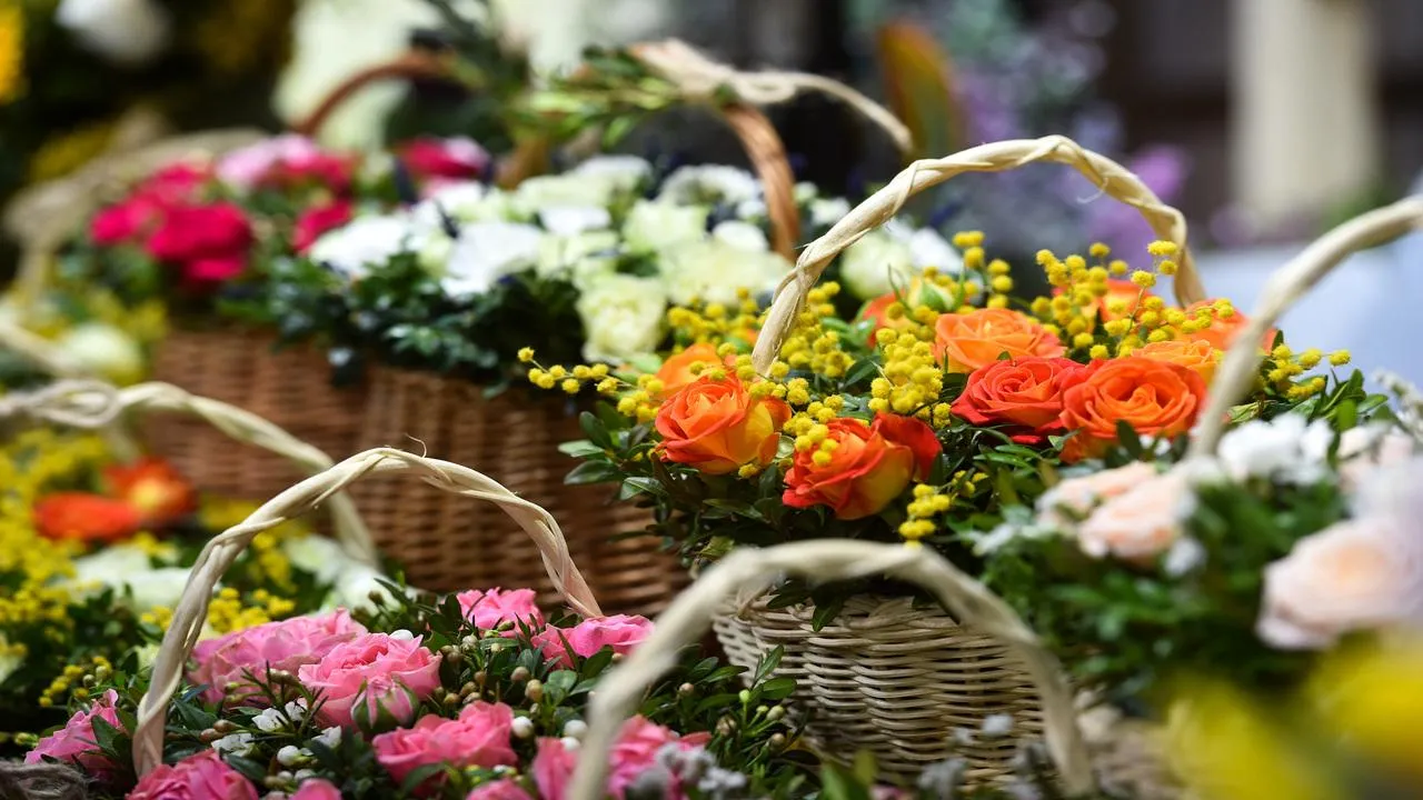 медиасток.рф