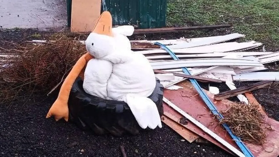 Фото: Министерство по содержанию территорий и государственному жилищному надзору