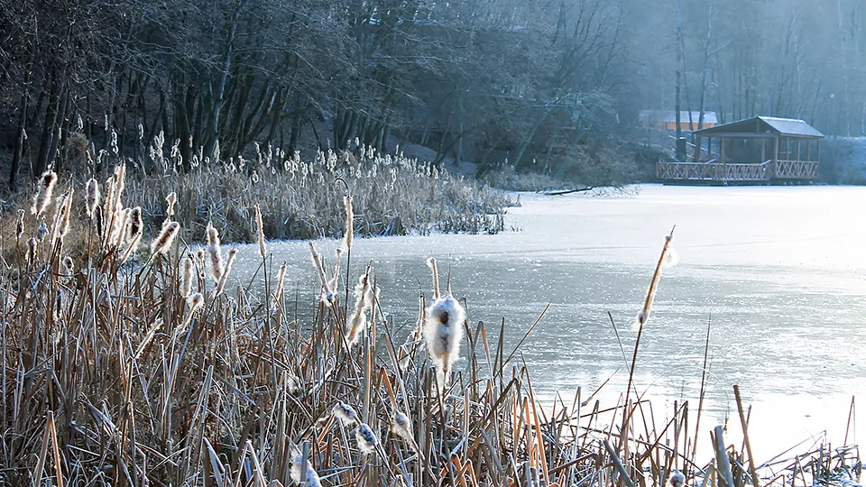 Фото: медиасток.рф