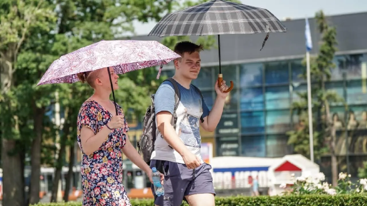 медиасток.рф