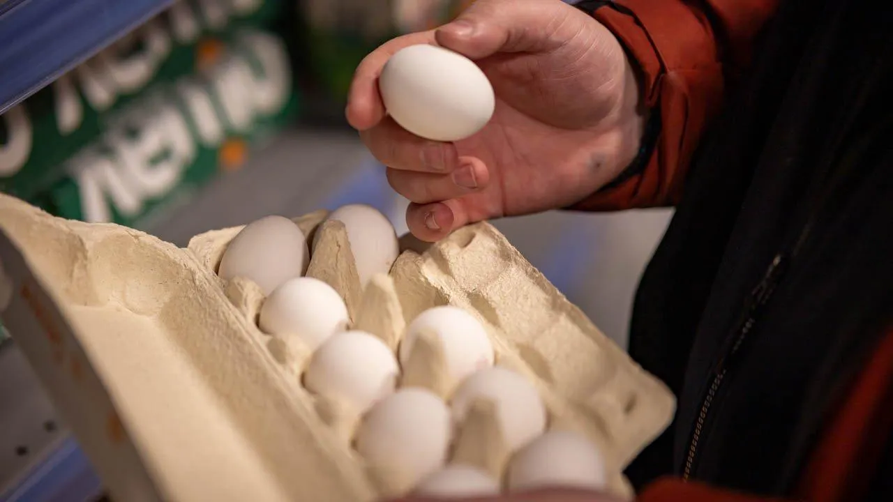 REGIONS/Роман Малышенко