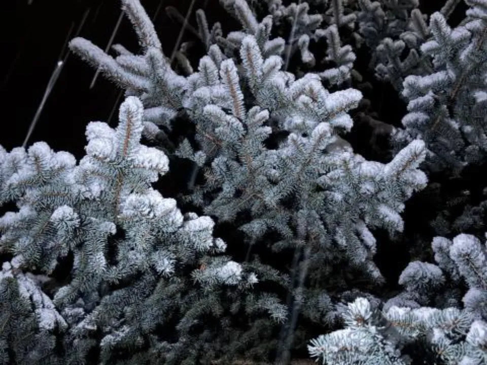 Фото: REGIONS/Дарина Левкина